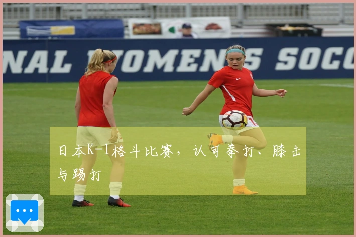 日本K-1格斗比赛，认可拳打、膝击与踢打