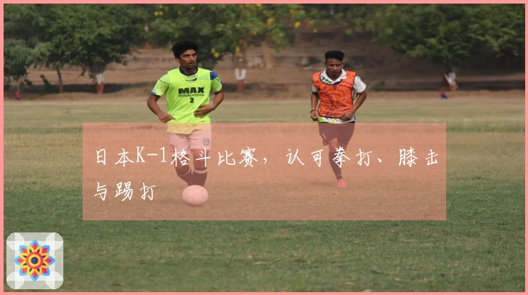 日本K-1格斗比赛，认可拳打、膝击与踢打